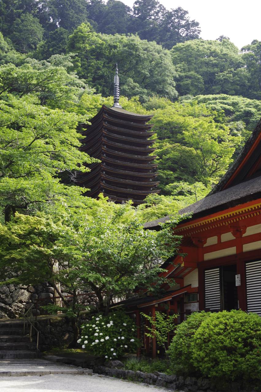 奈良のよいとこ 04 談山神社 Aki Yamaki Note