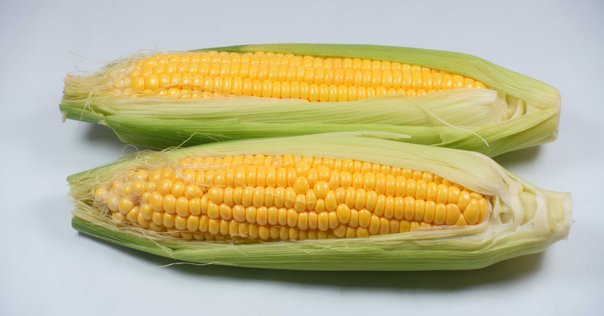 とうもろこしページ とうもろこし 大分 送料無料 5箱セット 1箱あたり約2kg（約350g