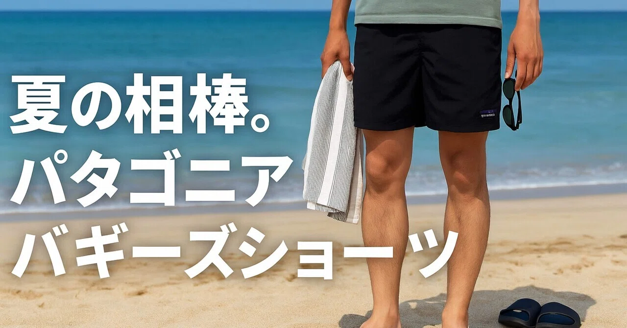 ☆値下げしました☆ 人気色パタゴニア バギーズショ-ツ5インチ ☆値下げしました☆ 人気色パタゴニア バギーズショ-ツ5インチ