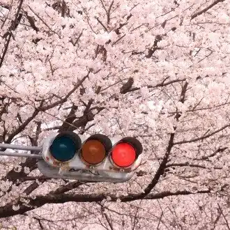荒木なるみ