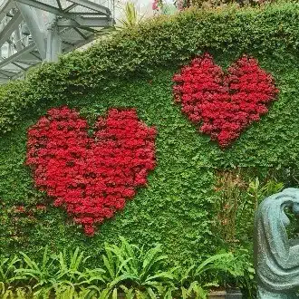 🌿神薙鈴音