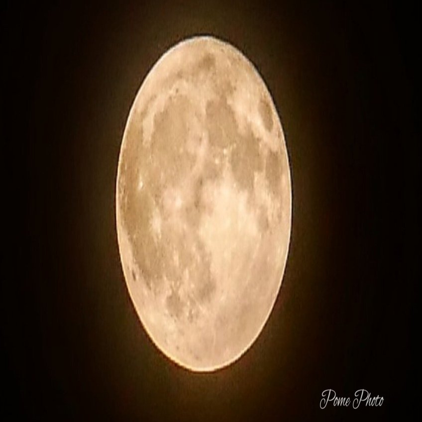 のれん　満月 ハウルの動く城 のれん 月夜 | どんぐり共和国そらのうえ店