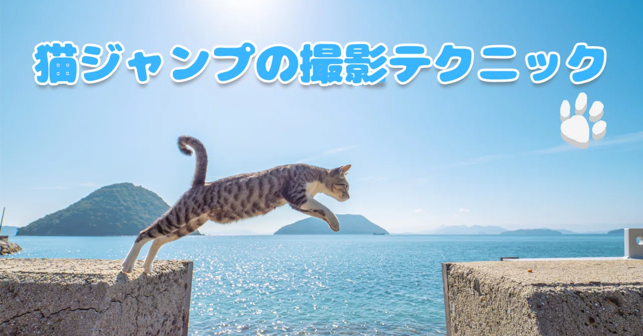 猫ジャンプの撮影テクニック / OM SYSTEM｜もみじ卍ゅう│カメラと