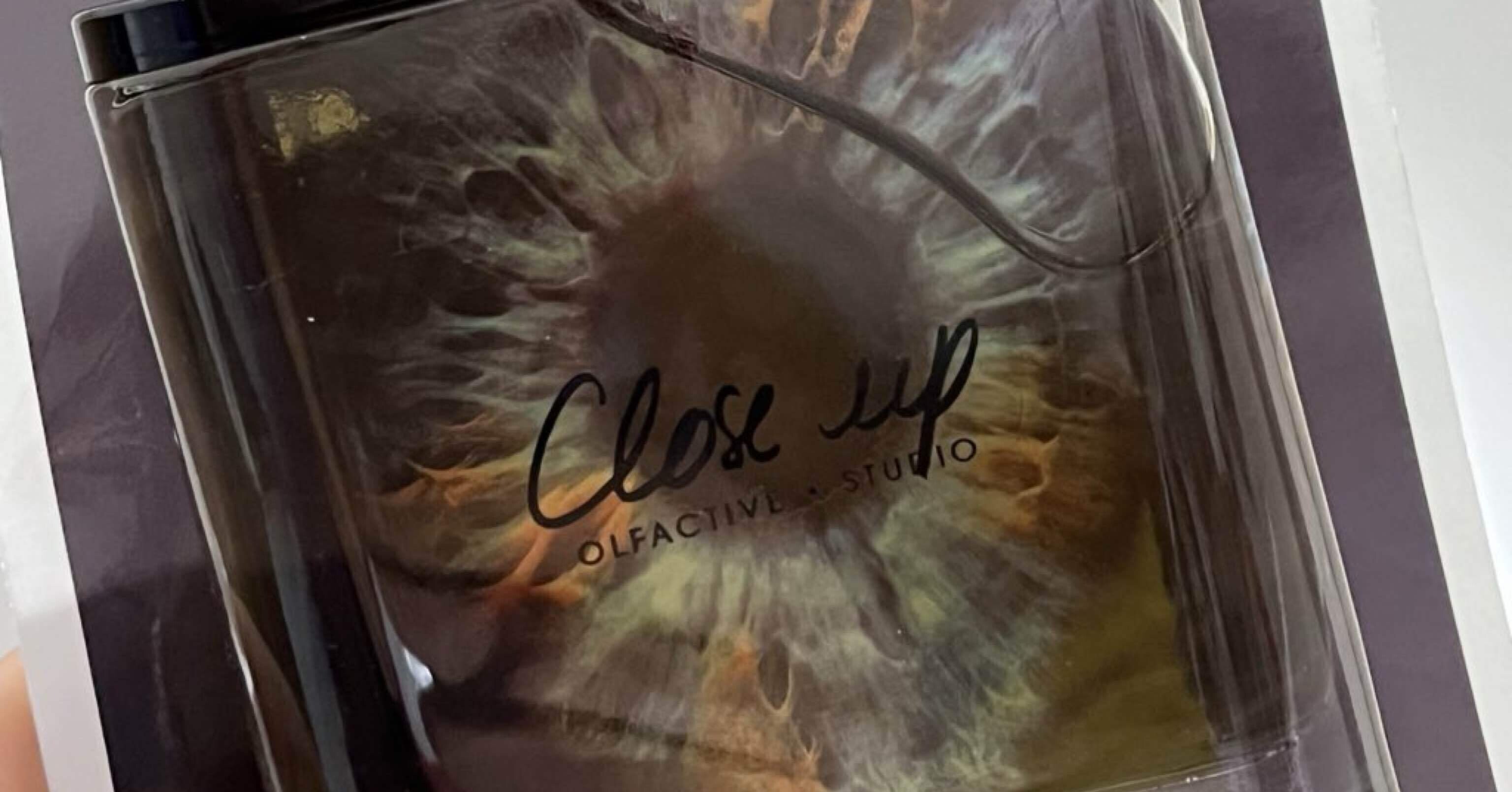 クローズアップ｜ジョージ