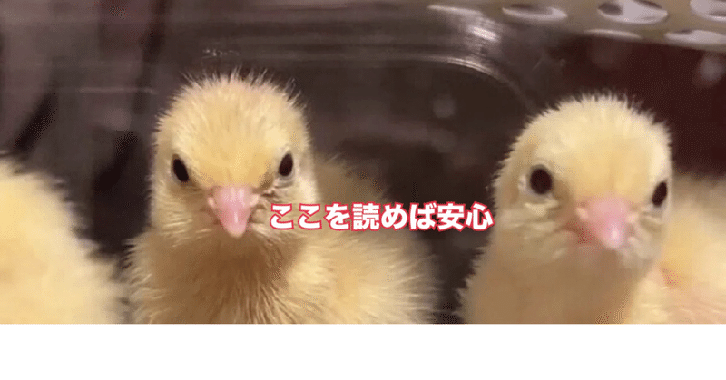 ひめうずら飼育カリキュラム｜ひめうずら研究室｜note