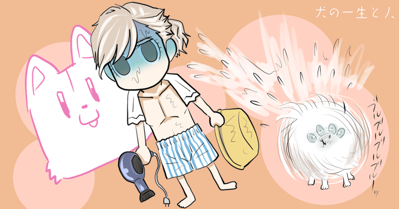 header_犬の一生と人