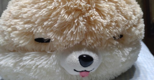サメーズ」まんまるもちもち口あきぬいぐるみXL(全2種)のご紹介