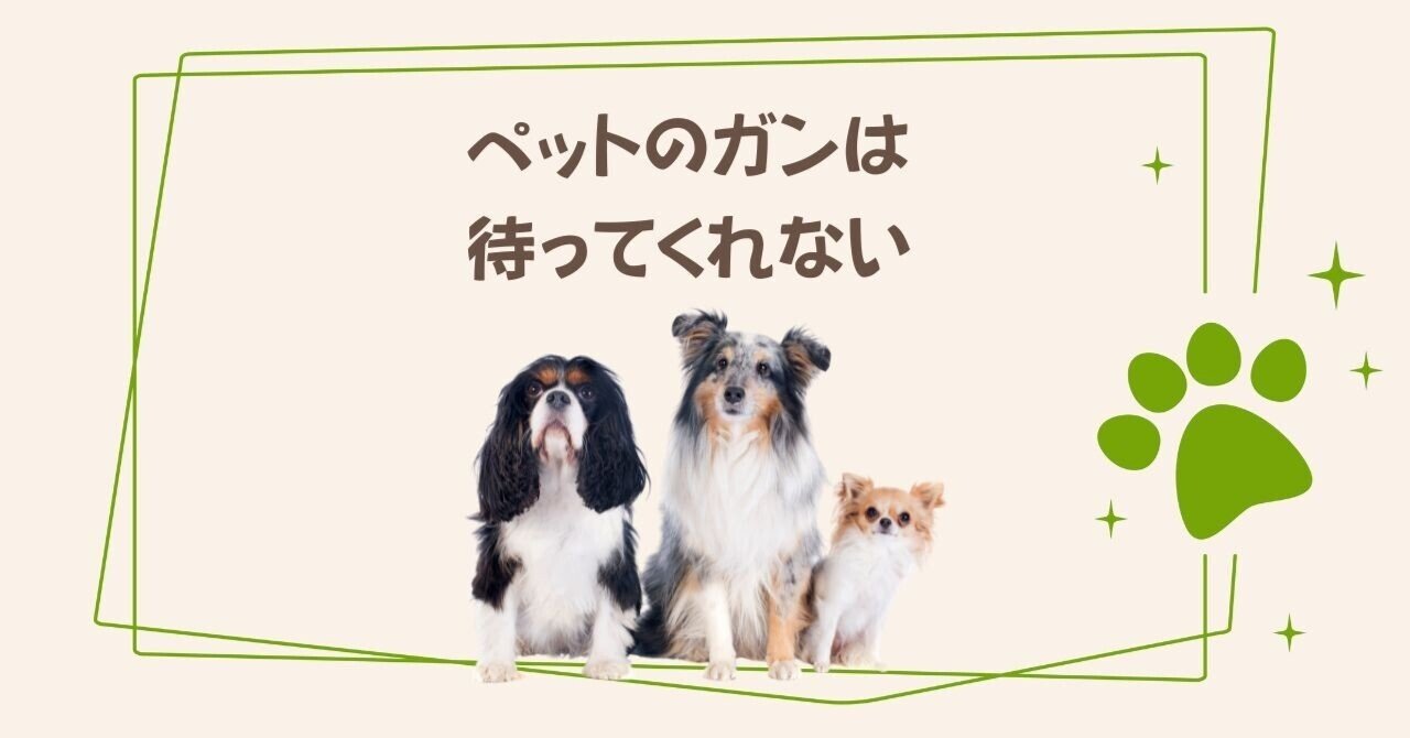 【中古】 獣医さんが教えるペットを不幸にしない法 動物たちの愛と涙の診療ノート/こう書房/マキノ照夫 CLINIC NOTE 最新号のご案内／1月号 ▽詳細・ご購入はこちら