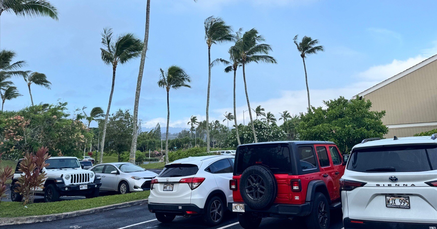 ハワイ・レンタカー奮闘記！出発前日から始まった波乱の旅｜タグラボ