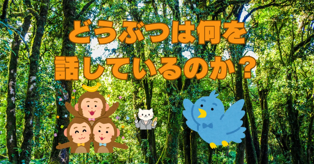 What Are Animals Saying?｜ねこねこ錦🐾 【幸せと×写真と】