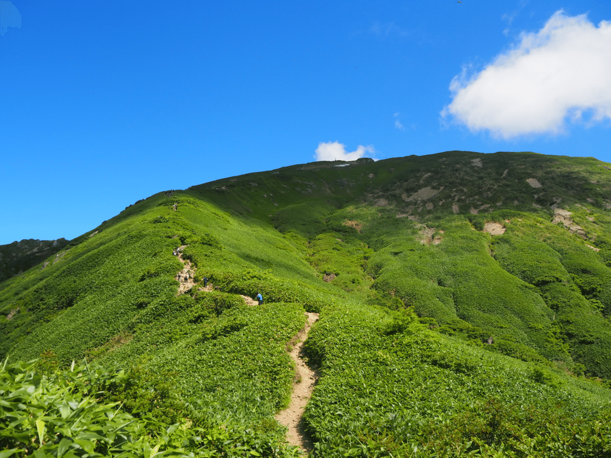 【希少】谷川岳の岩場(初版第2刷) 日本の岩場 下巻 改訂版 (CLIMBING GUIDE BOOKS) | 菊地敏之
