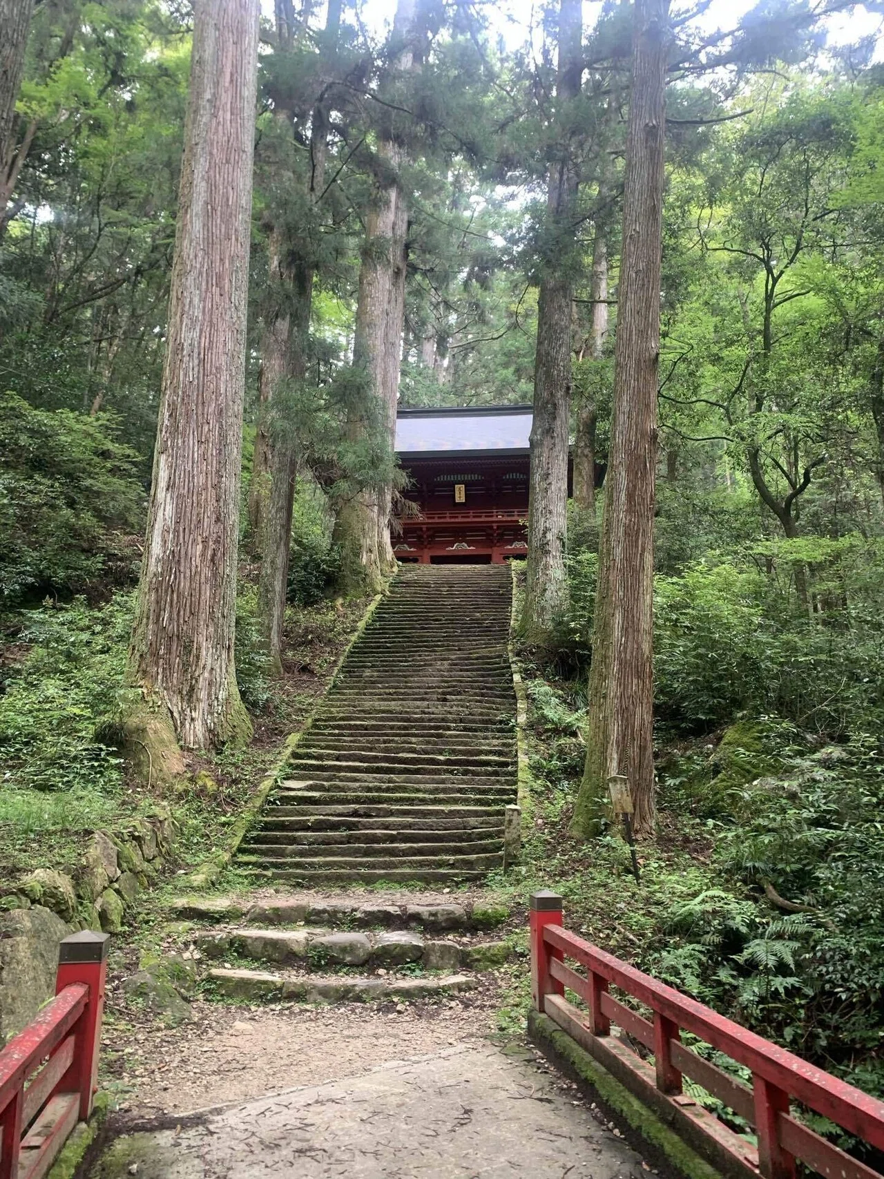貴重　唐三彩　踏馬　紅木箱　時代物　送料込み250118 貴重 唐三彩 踏馬 紅木箱 時代物 送料込み250118 貴重 唐三彩 踏馬
