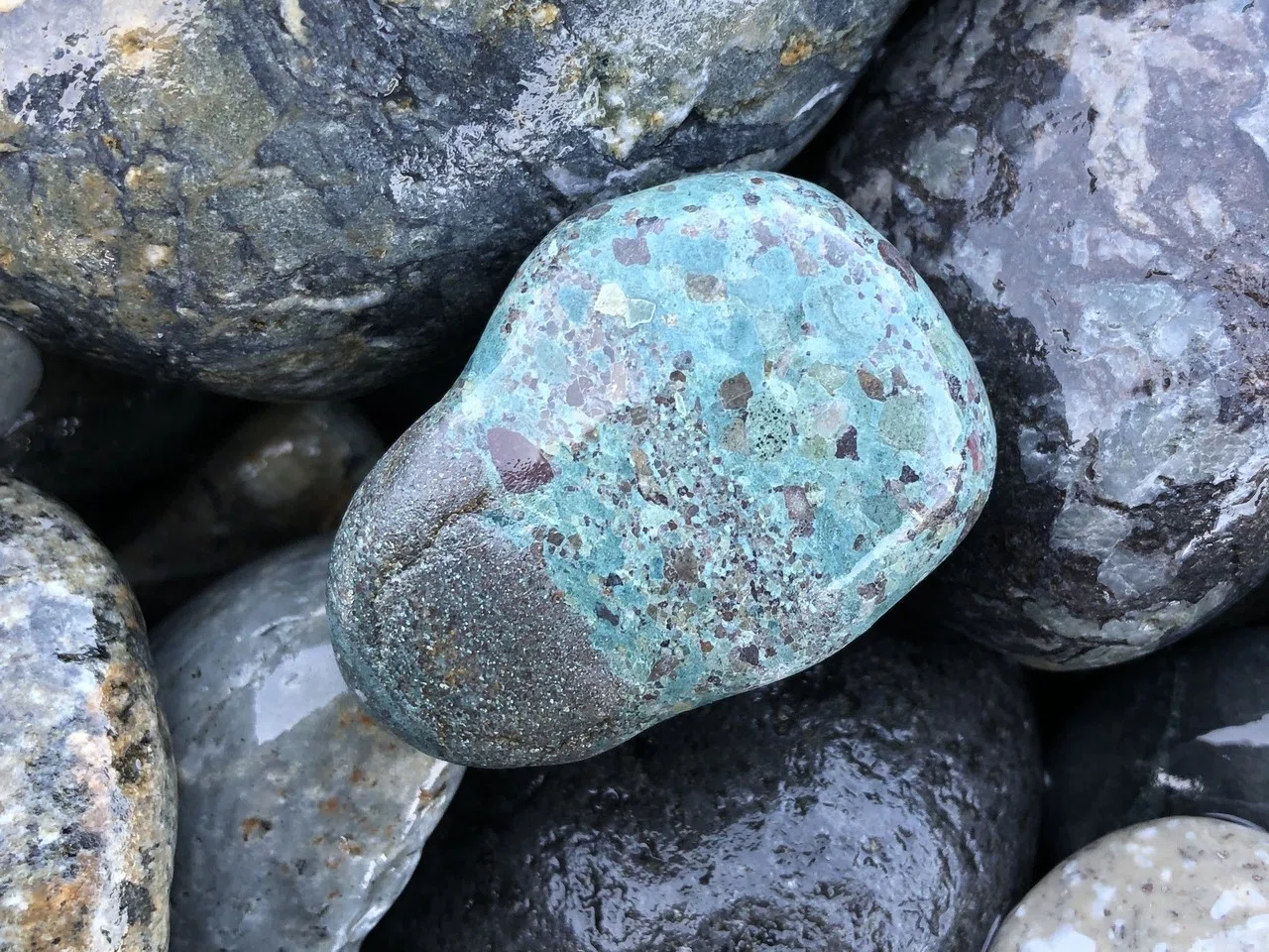 ヒスイ海岸で石を拾ってきた｜NJRecalls