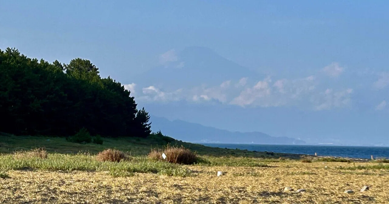 大満足✨レスパイトで静岡（芹沢銈介美術館・三保松原・静岡県立美術館