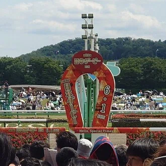 競馬投資猫