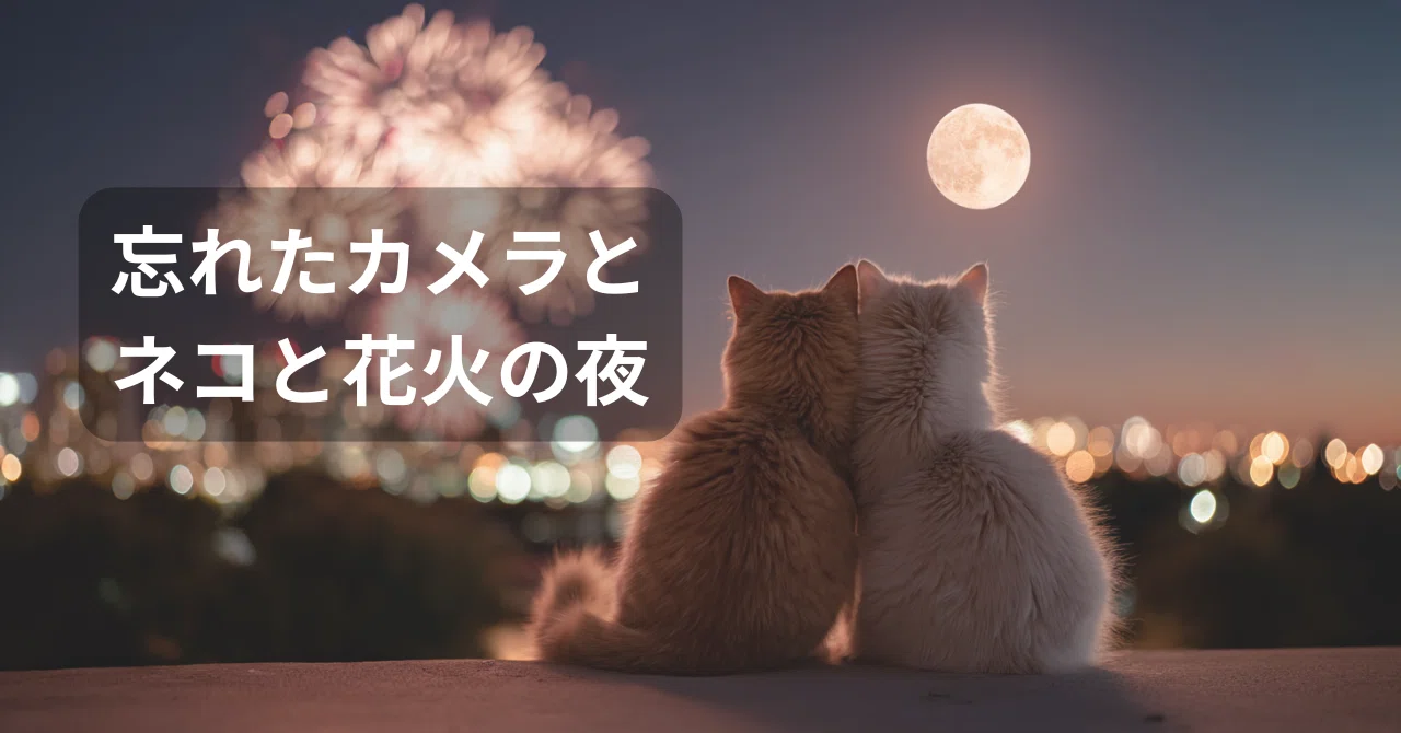 忘れたカメラと、ネコと花火の夜｜SAKURA