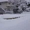 ぬくもり