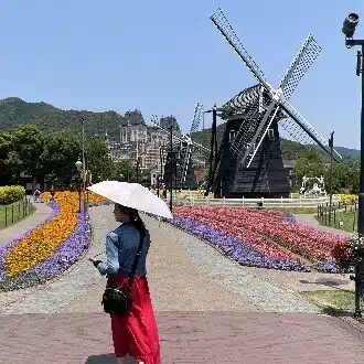 カラー日和