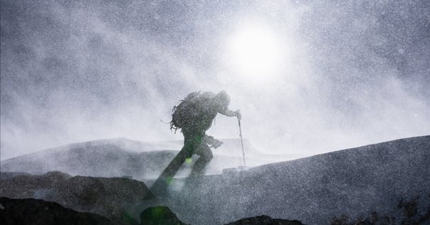 富士の山そろそろ登るかたつむり 富士の山そろそろ登るかたつむり