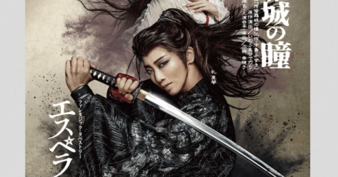 舞台】宝塚歌劇星組大千穐楽を配信で｜乃梨子