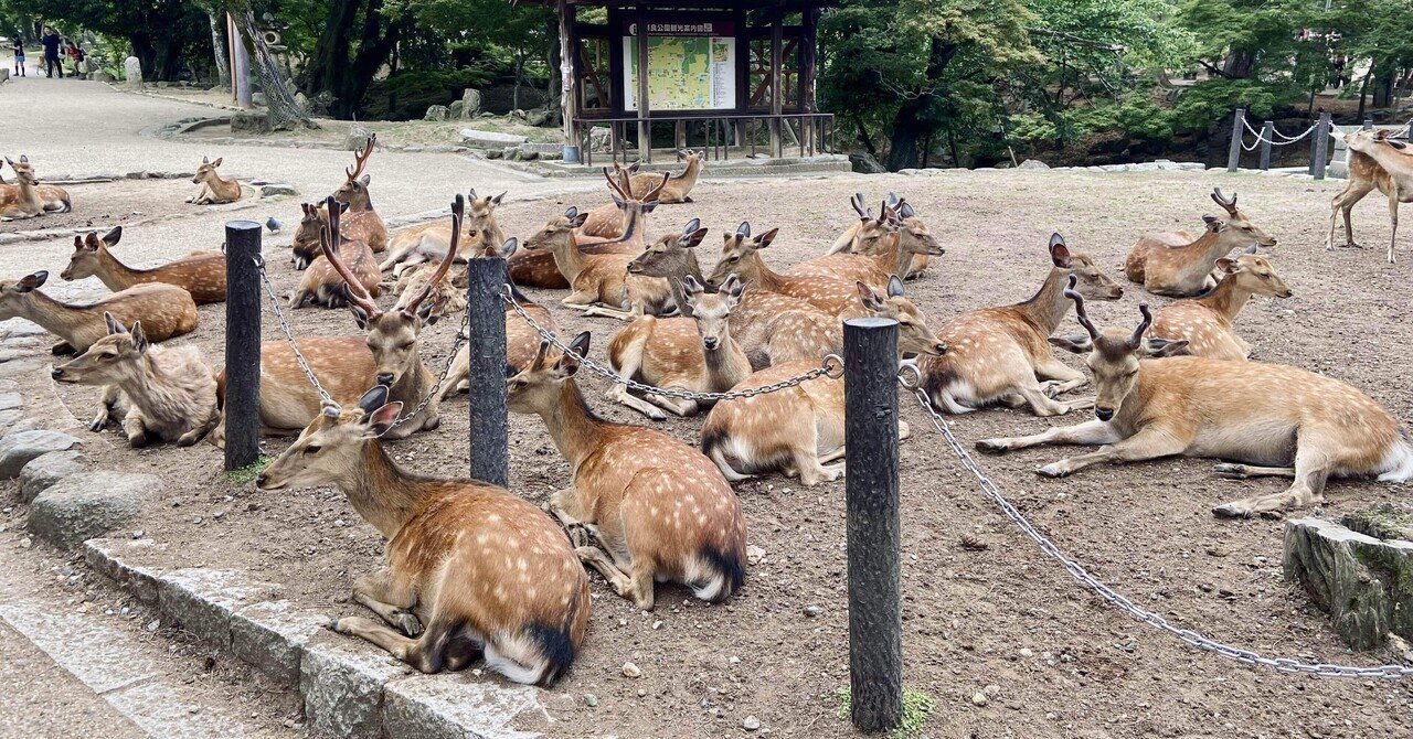 奈良公園の「鹿せんべい」販売所MAPを作りました。｜MARKO 鹿