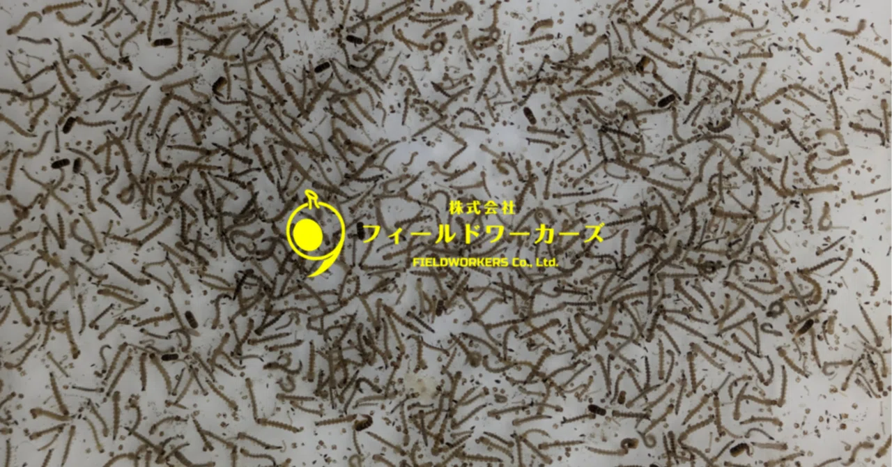 蚊 の 寿命