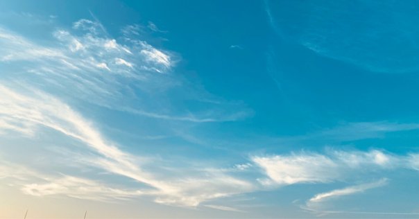 団地のふたり〈5枚組〉 真多呂人形 | 雛人形,段飾り 小花雛 5人 | 雛人形(ひな人形)、五