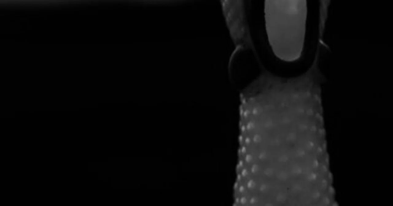 [Scary Story] The Laughing Abandoned Bus [