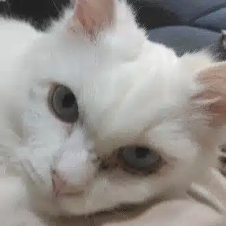 春休み