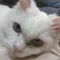 春休み
