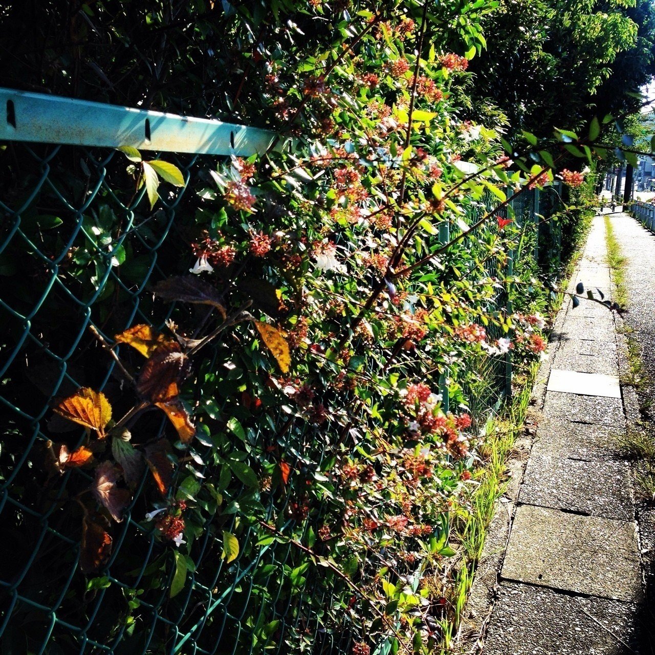 嘘だと言ってよマーニー Tominagayuki Note