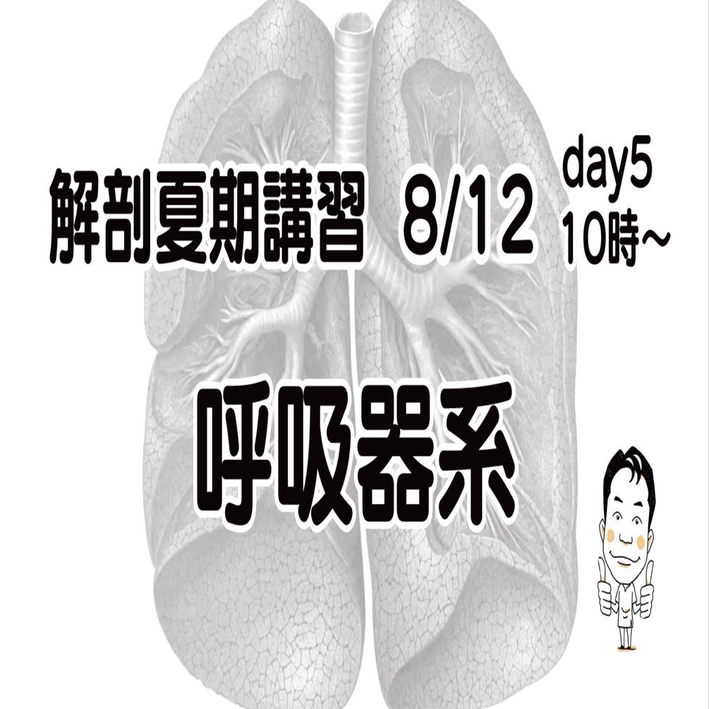 解剖夏期講習 8/12 day5 呼吸器系｜かずひろ先生（黒澤一弘｜解剖×教育