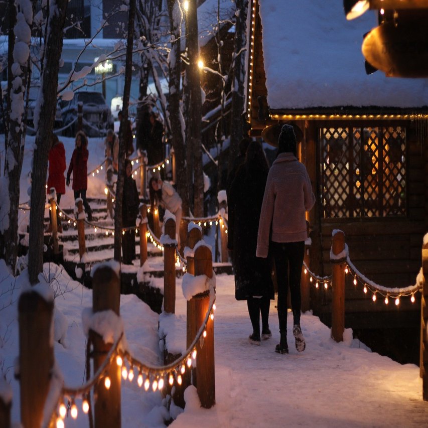 3分で読める 冬景色も圧巻の 富良野 美瑛 旅行記 いけだ さえ 猫好き国内トラベラー Note