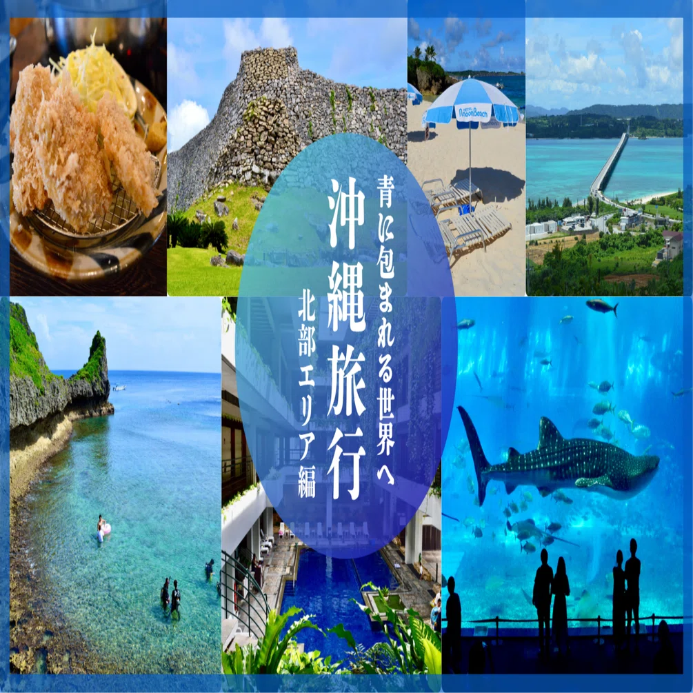 青に包まれる世界へ｜【沖縄旅行②】北部エリア編｜Tomo＠旅と美食の
