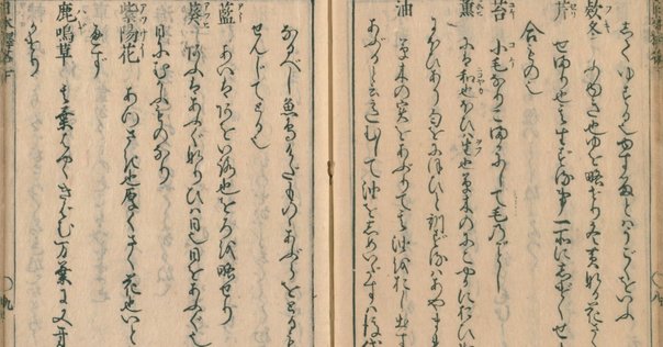 萬葉集諸本概観｜燈露
