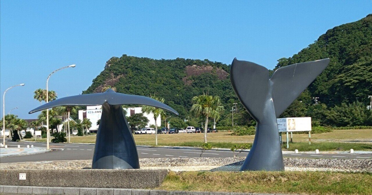 大人の自然教室・和歌山②】漁港、しっぽ、共生｜Lia* Yukihira