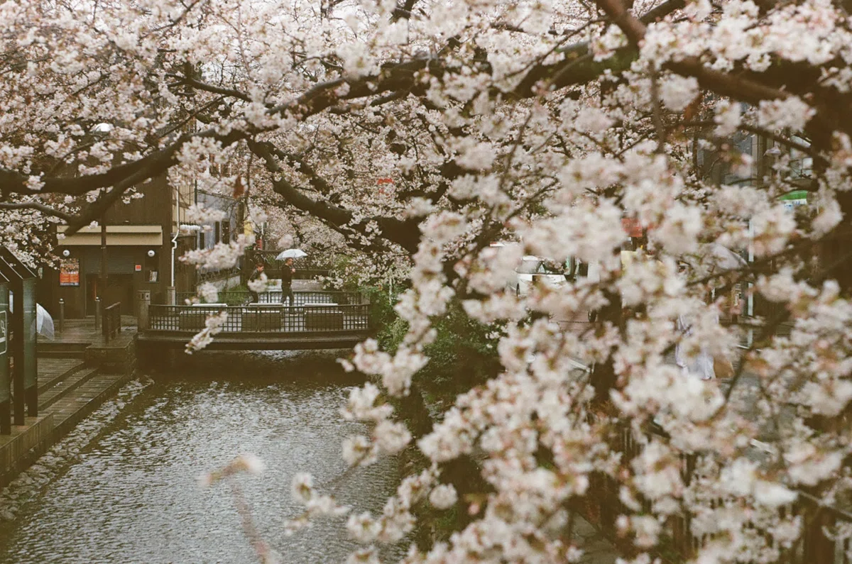 身につけて街に出かけたくなるパンケーキレンズ｜SMC PENTAX-M 40mm F2