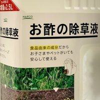 キャンプだけではもったいないカッコよさ ミリタリーテイストなコンテナボックス ティアモス が ジワっと人気な6つの理由とは ナフコ スタッフ Nafco Staff Note キャンプだけではもったいないカッコよさ ミリタリーテイストなコンテナボックス ティアモス が ジワっと人気な6つの理由とは ナフコ スタッフ Nafco Staff Note