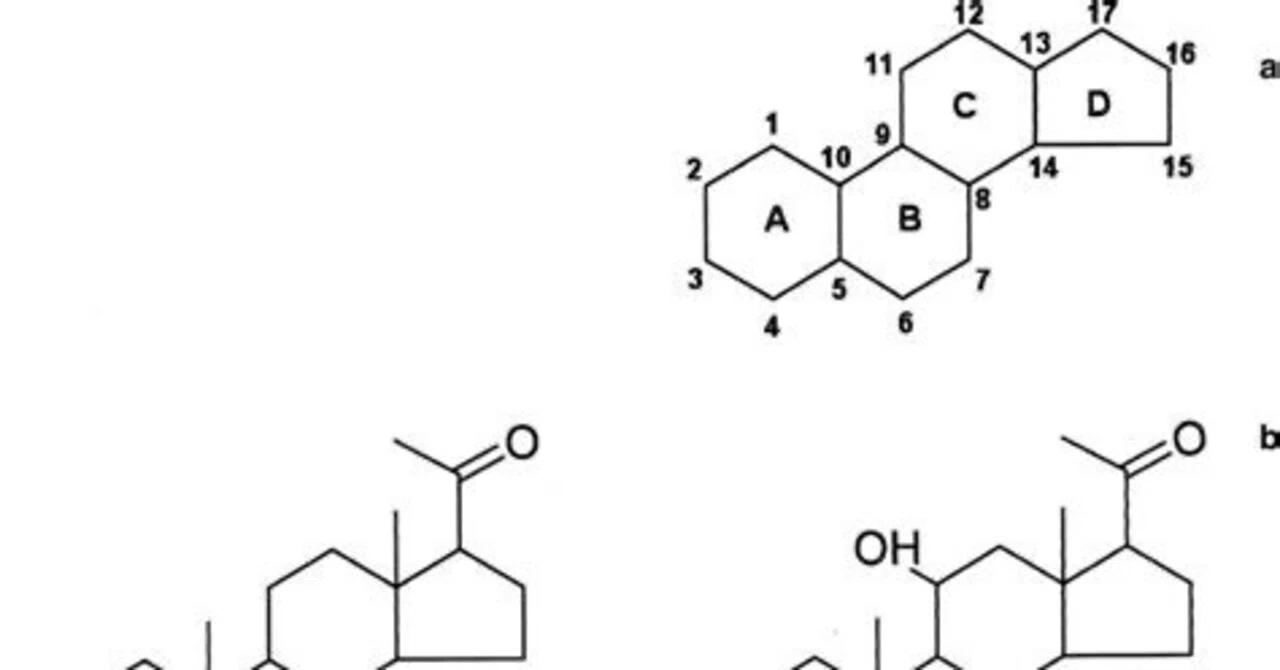 The Complete Guide to Steroids: Classification, Potency, and Safe Usage｜KC