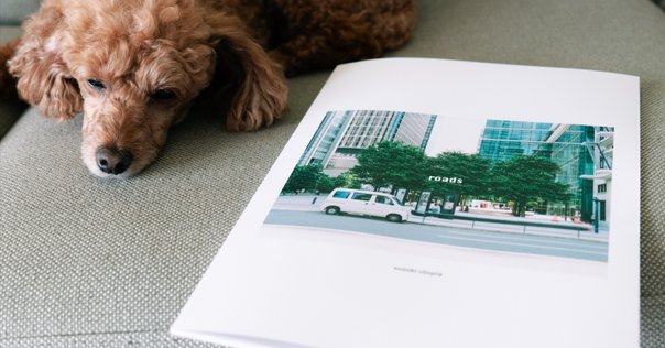 写真集：In Color In Japan: Selected and New Works｜Shin Noguchi