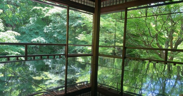 霊芝元照の研究: 宋代律僧の浄土教 [単行本] 吉水 岳彦 霊芝元照の研究: 宋代律僧の浄土教 | 吉水 岳彦 |本 | 通販 | Amazon