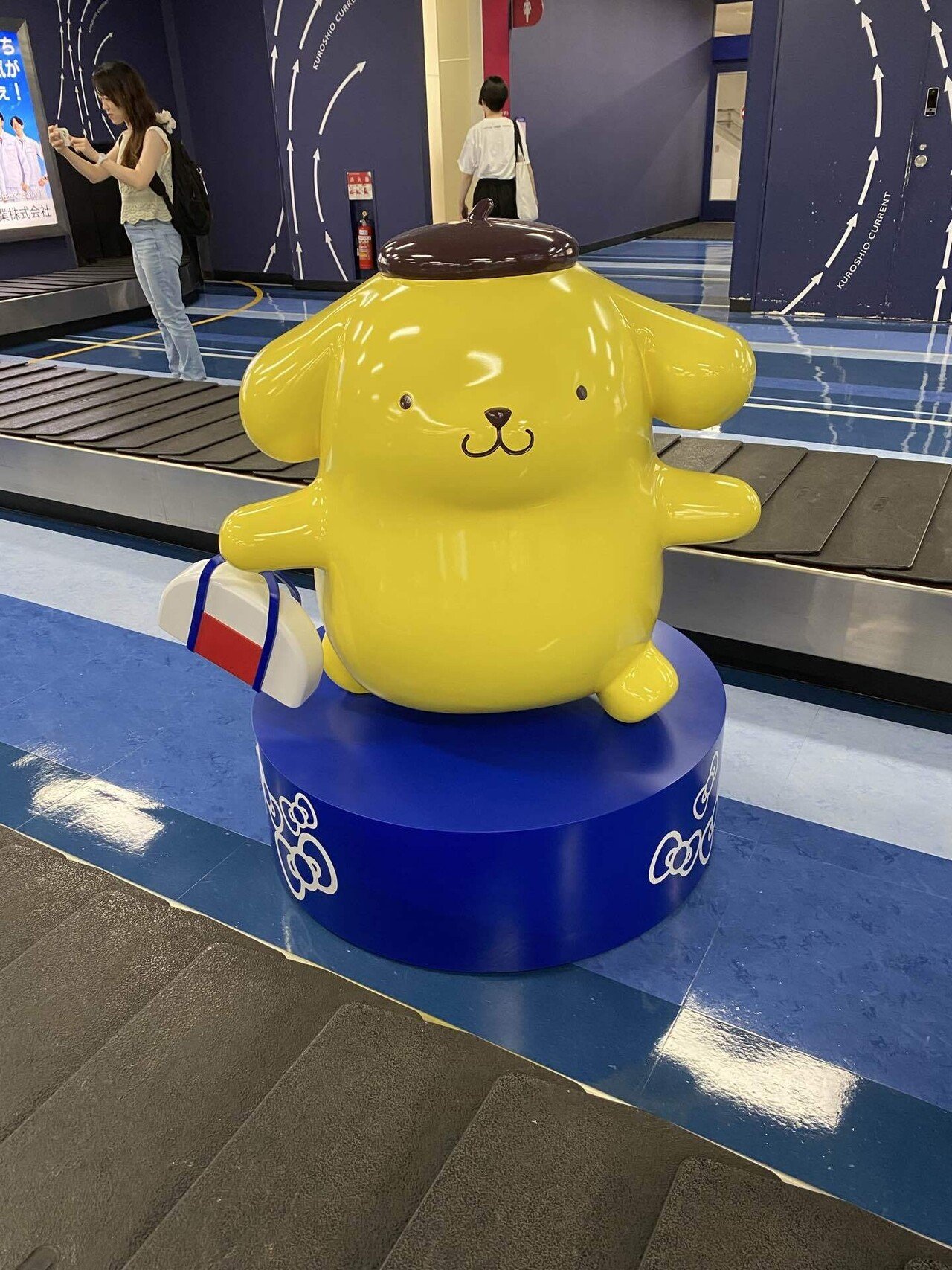 九州ローカルタレント】大分ハローキティ空港✈️｜九州ローカル