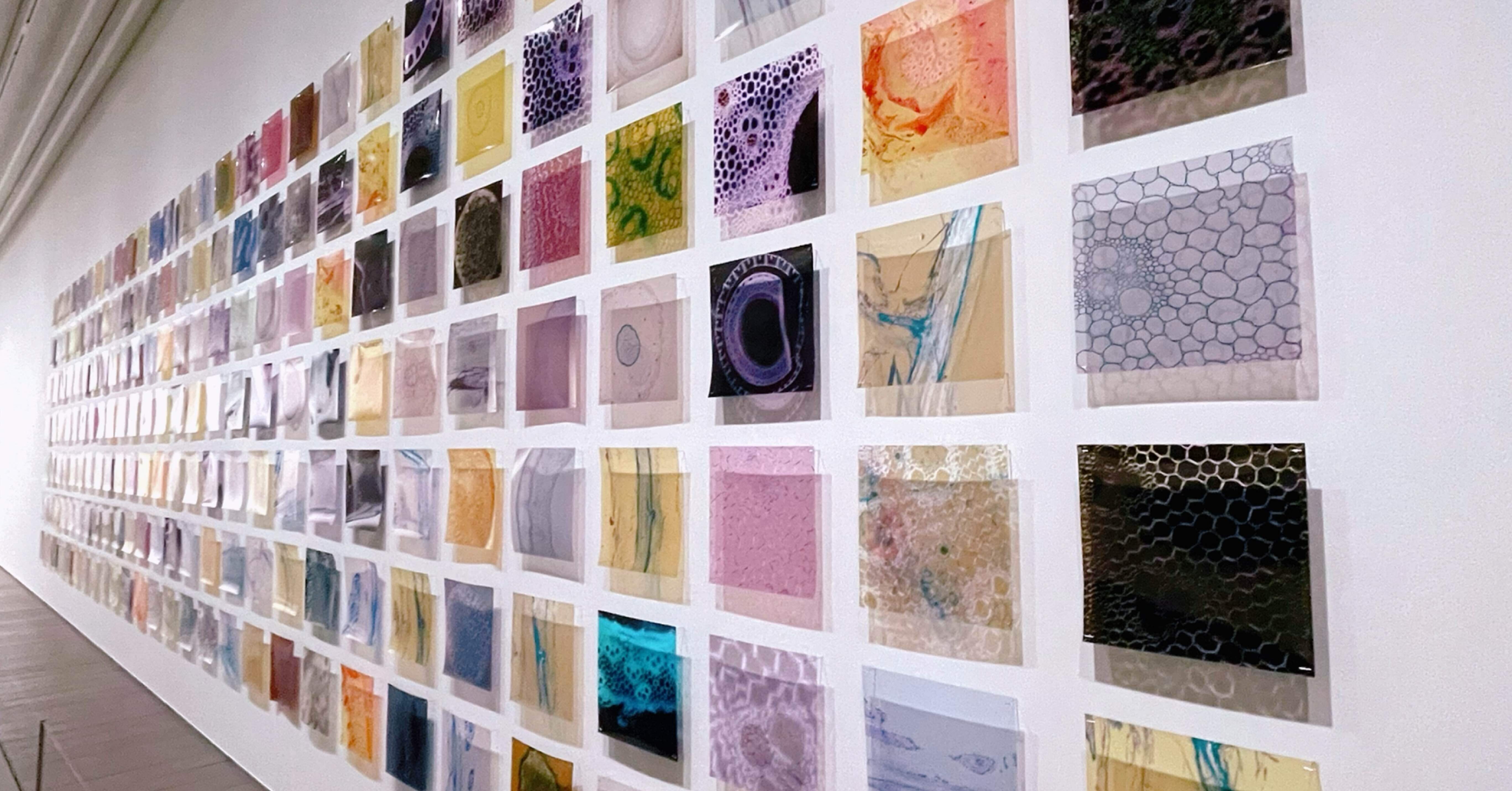 bcf62b953824808359595147bc9ca4