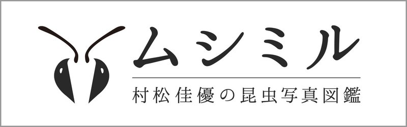 ムシミルロゴ修正その3