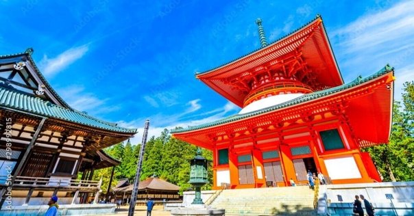 霊芝元照の研究: 宋代律僧の浄土教 [単行本] 吉水 岳彦 霊芝元照の研究: 宋代律僧の浄土教 | 吉水 岳彦 |本 | 通販 | Amazon