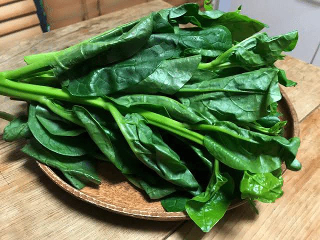 32畑[ツルムラサキノコト]｜「野菜ってなんだっけ？」