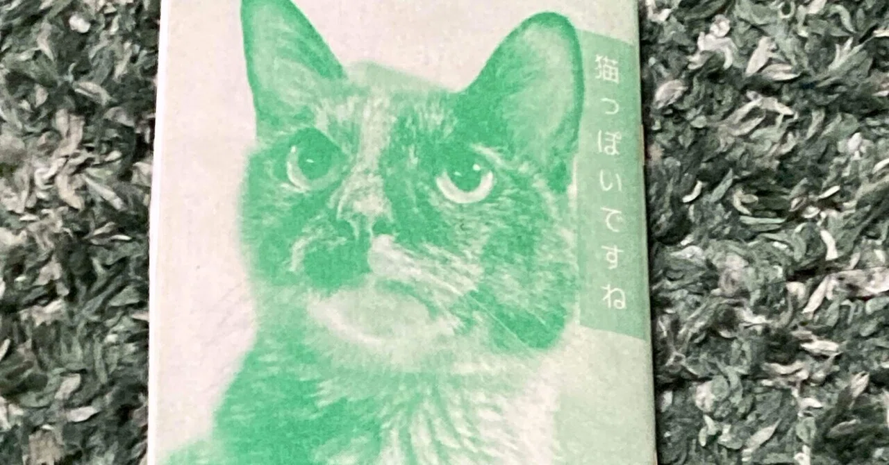 猫っぽいですね 制作の思い｜是永是之介 a.k.a たったん