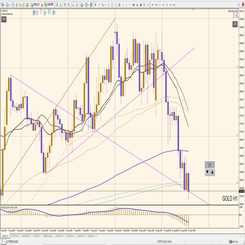 FX】チャートパターン①｜カムぺいさん