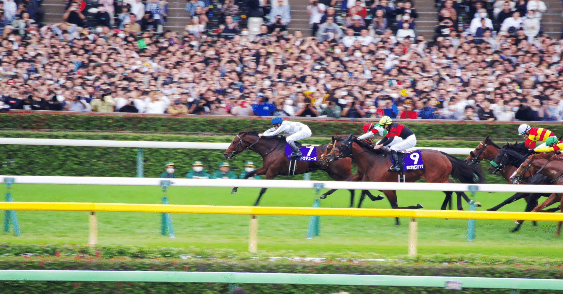 🏇 武豊騎手、JRA通算4600勝達成‼その内訳を公開。｜GInfo