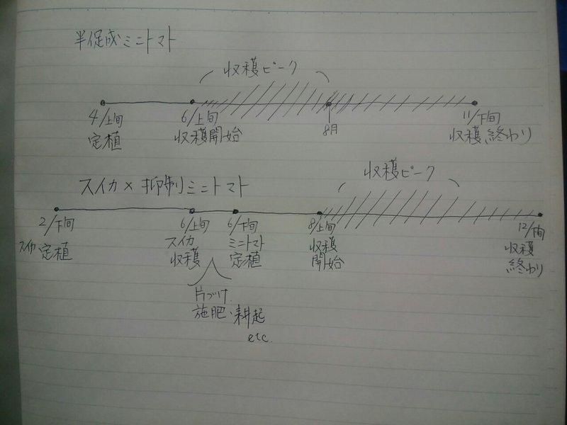 半促成ミニトマトの元肥散布 オオハラケイ 新規就農研修中 Note 半促成ミニトマトの元肥散布 オオハラケイ 新規就農研修中 Note